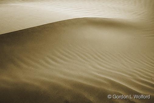 Dune_42310.jpg - Photographed along the Gulf coast on Mustang Island near Corpus Christi, Texas, USA.
